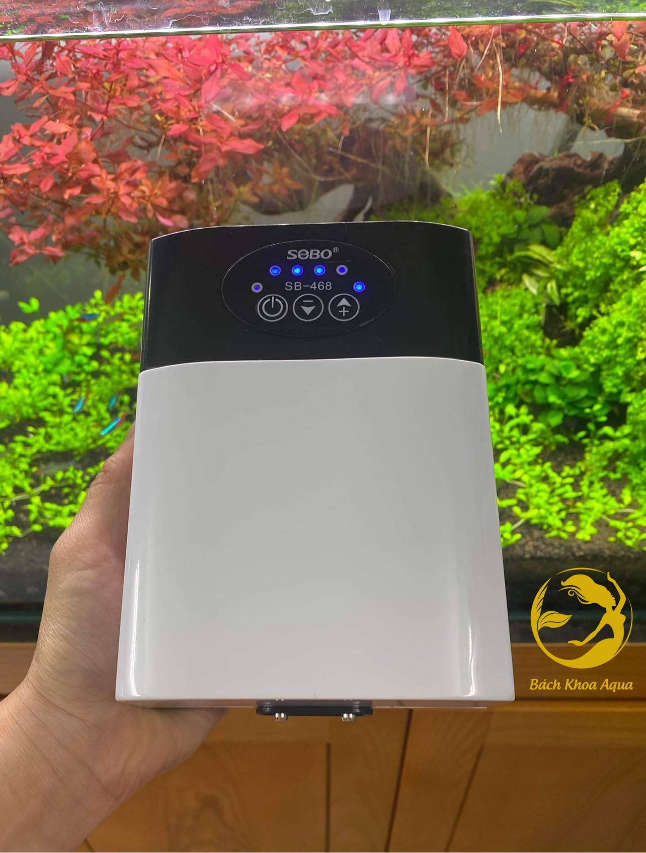 Máy sủi tích điện Sobo SB-168 / SB-268 / SB-368 / SB-468 / SB-568